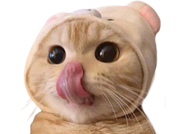 :chatt: