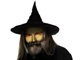:fdv_schizo: