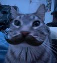 :CS_moustache: