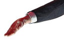 :elon_main_envers_: