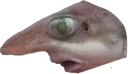 :poissonnez: