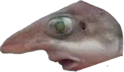 :poissonnez: