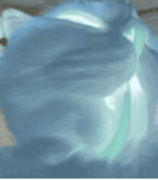 :Chat_leche_fantome:
