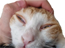 :cha_ET: