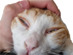:cha_ET: