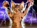 :chat_lance_eclair_3: