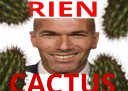 :rien_cactus: