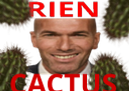:rien_cactus: