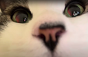 :ZOOOOOOM: