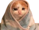 :chat_snif: