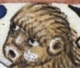 :singe_du_moyen_age: