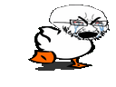 :canardsoja: