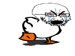 :canardsoja: