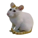 :Cheesecat: