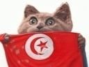 :Chapex_tunisien: