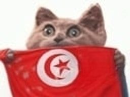 :Chapex_tunisien:
