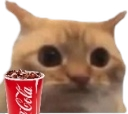:chat_limite_coca: