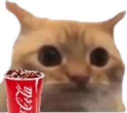 :chat_limite_coca: