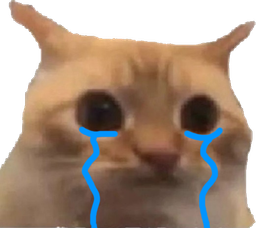 :chatlimitepleure: