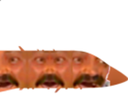 :airissou3: