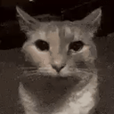 :chat-regard-insistant: