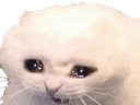 :ChatChiale: