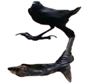:corback:
