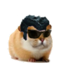 :Hamster_style: