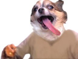 :wouaf: