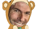 :Zidane_Nounours: