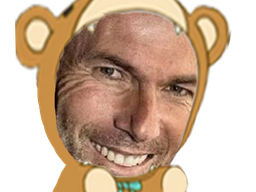 :Zidane_Nounours: