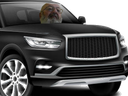 :BoomerSUV: