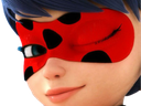 :ladybug_blink: