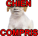 :chien_compris2: