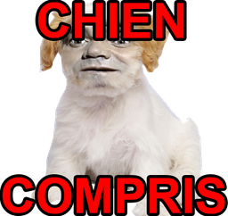 :chien_compris2: