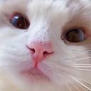 :charme: