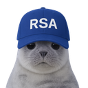 :phoquersa: