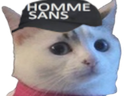 :chasans: