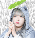 :luda_il_pleut: