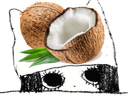 :ChapoCoco:
