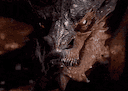:Smaug_questionne: