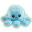 Photo de profil de Poulpe