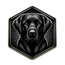 :Labrador_noir_:
