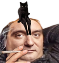 :catslave4: