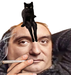 :catslave4: