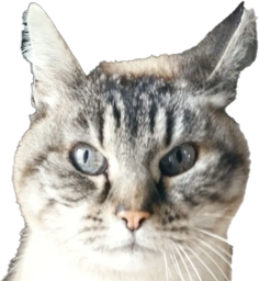 :ChatAnnapurna:
