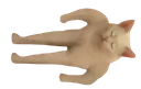 :dodo_human_cat:
