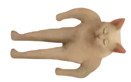 :dodo_human_cat: