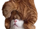 :Chatcouilles: