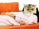 :ChatMacheCanape: